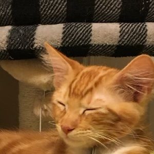 Meet your Posher, Esther